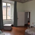 Siena Centro, Civetta