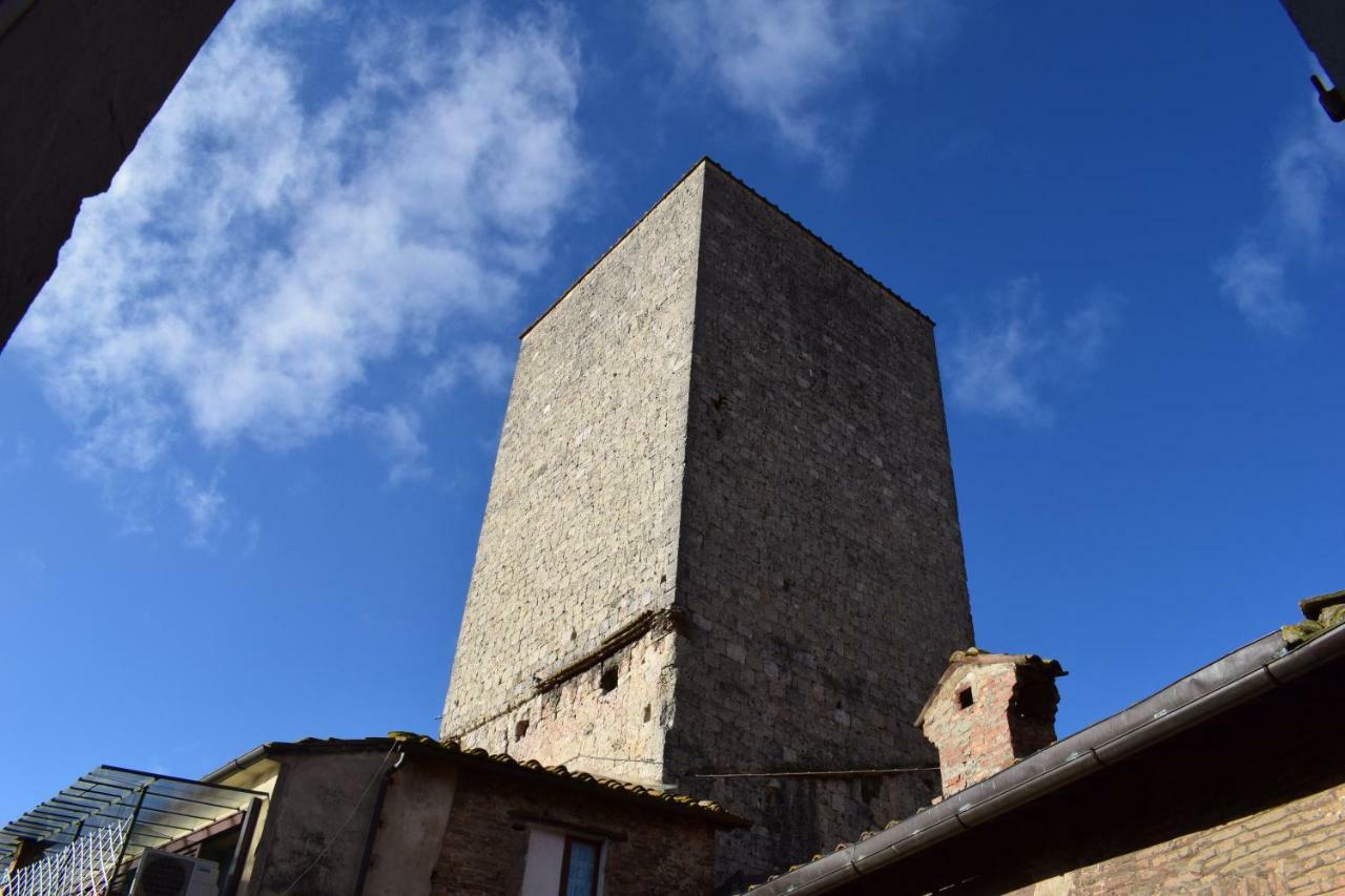 Apartamento Centro, Civetta
