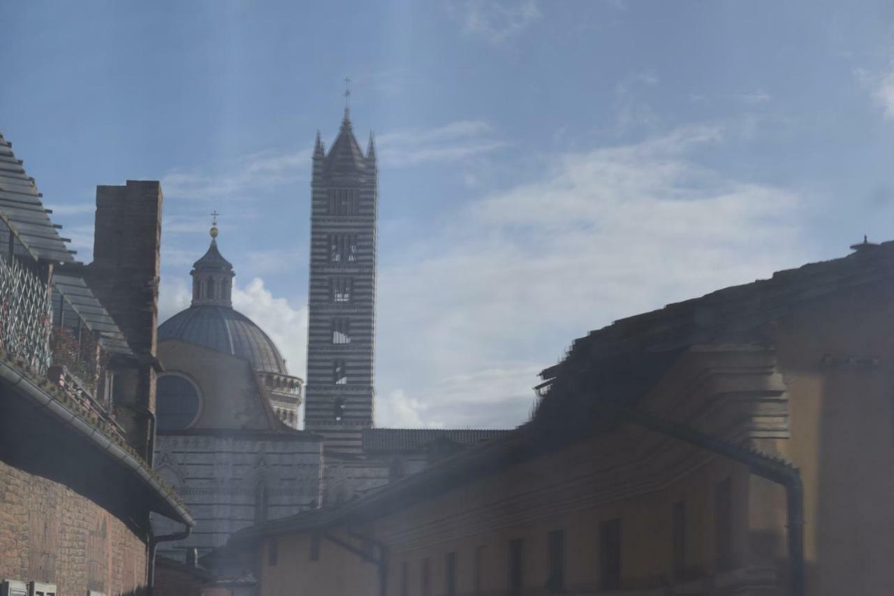 Centro, Civetta