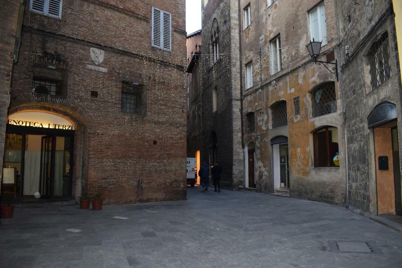 Centro, Civetta *